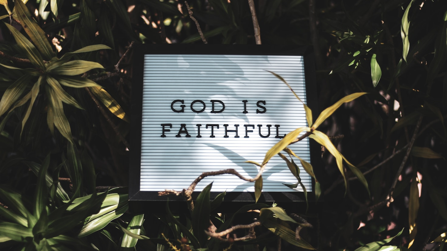 Building Strong Families Through Faith Support